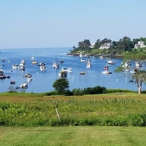 Meet your Posher, Georgi